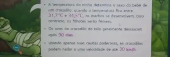 A temperatura do ninho determina o sexo do bebê de
um crocodilo: quando a temperatura fica entre
31,7^circ C e 34,5^circ C os machos se desenvolvem; caso
contrário, os filhotes serào fêmeas.
- Os ovos do crocodilo do Nilo geralmente descascam
após 90 dias.
Usando apenas suas caudas poderosas, os crocodilos
podem nadar a uma velocidade de até 30km/h