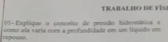 TRAB ALHO DE FISI
01- Explique o conceito de pressão hidrostática e
como ela varia com a profundidade em urn liquido em
repouso.