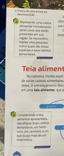 >> Tronco de uma árvore em
decomposição.
3 Represente uma cadeia
alimentar considerando
seres vivos que estão
presentes em sua
região. Se necessário,
realize uma pesquisa
sobre quais são essas
espécies e seus hábitos
alimentares.
Teia aliment
Na natureza, muitas espéc
de várias cadeias alimentares.
delas. O entrelaçamento das
em uma teia alimentar , que p
4 Considerando a teia
alimentar apresentada.
identifique:duas cadeias
alimentares, um herbi-
voro, um carnivoro e um
que ocupa mais de um
nivel trófico.