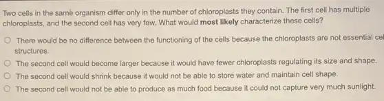 Two cells in the samé organism differ only in the number of chloroplasts they contain. The first cell has multiple
chloroplasts, and the second cell has very few.What would most likely characterize these cells?
There would be no difference between the functioning of the cells because the chloroplasts are not essential cel
structures.
The second cell would become larger because it would have fewer chloroplasts regulating its size and shape.
The second cell would shrink because it would not be able to store water and maintain cell shape.
The second cell would not be able to produce as much food because it could not capture very much sunlight.