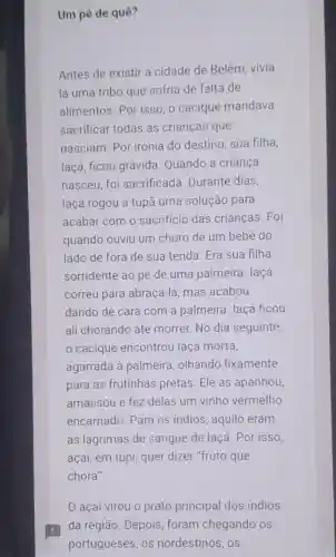 Um pé de quê?
Antes de existir a cidade de Belém . vivia
lá uma tribo que sofria de falta de
alimentos. Por isso, o cacique mandava
sacrificar todas as crianças que
nasciam. Por ironia do destino sua filha,
laçá, ficou grávida. Quando a criança
nasceu, foi sacrificada Durante dias,
laçá rogou a tupã uma solução para
acabar com o sacrifício das crianças. Foi
quando ouviu um choro de um bebê do
lado de fora de sua tenda. Era sua filha
sorridente ao pé de uma palmeira laçá
correu para abraçá-la, mas acabou
dando de cara com a palmeira . laçá ficou
ali chorando até morrer. No dia seguinte,
cacique encontrou laçá morta,
agarrada à palmeira, olhando fixamente
para as frutinhas pretas. Ele as apanhou,
amassou e fez delas um vinho vermelho
encarnado. Para os indios, aquilo eram
as lágrimas de sangue de laçá . Por isso,
açaí, em tupi quer dizer "fruto que
chora".
açaí virou o prato principal dos indios
da região. Depois foram chegando os
portugueses, os nordestinos, os