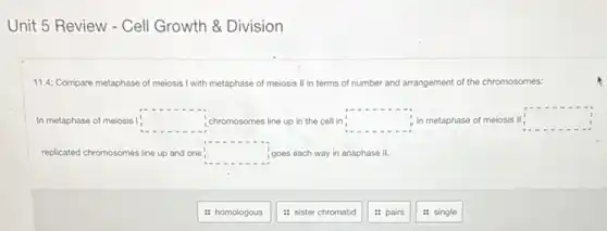 Unit 5 Review - Cell Growth & Division
11.4: Compare metaphase of meiosis I with metaphase of meiosis II in terms of number and arrangement of the chromosomes:
In metaphase of meiosis square  chromosomes line up in the cell in square  in metaphase of meiosis II square 
replicated chromosomes line up and one square  goes each way in anaphase II.
: homologous
: sister chromatid
pairs
: single