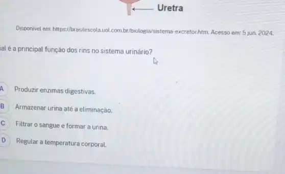 Uretra
Disponivel em:https://brasilescol /biologia/sistem -excretor,htm. Acesso em:5 jun. 2024.
alé a principal função dos rins no sistema urinário?
A Produzir enzimas digestivas.
B Armazenar urina até a eliminação.
C Filtrar o sangue e formar a urina.
D Regular a temperatura corporal. D