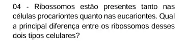 04 - Ribossomos estão presentes tanto nas
células procariontes quanto nas eucariontes. Qual
a principal diferença entre os ribossomos desses
dois tipos celulares?