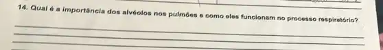 14. Qual 6 a importância dos alvéolos nos pulmóes o como eles funcionam no processo respiratório?
__