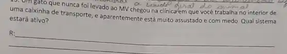 15. Om gato que nunca foi levado ao MN a boudso duna do owma interior de
uma caixinha de transporte, e aparentemente está muito assustado e com medo. Qual sistema
estará ativo?
__