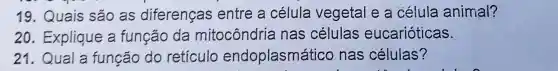 19. Quais sao as diferenças entre a célula vegetal e a célula animal?
20. Explique a função da mitocôndria nas células eucarióticas.
21. Qual a função do reticulo endoplasmático nas células?