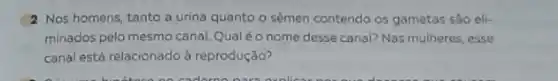 2 Nos homens, tanto a urina quanto o sêmen contendo os gametas sào eli-
minados pelo mesmo canal Qualéo nome desse canal?Nas mulheres, esse
canal está relacionado à reprodução?