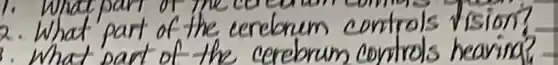 2. What part of the cerebrum controls vision? What part of the cerebrum controls heaving?