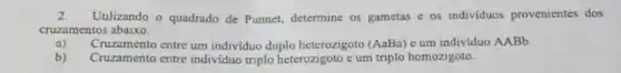 2. Utlizando o quadrado de Punnet, determine os gametas e os individuos provenientes dos
cruzamentos abaixo.
a) Cruzam ento entre um individuo duplo heterozigoto (AaBa) e um individuo AABb.
b) Cruzamento entre individuo triplo heterozigoto c um triplo homozigoto.