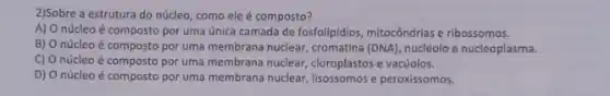 2)Sobre a estrutura do núcleo, como ele é composto?
A) O núcleo é composto por uma única camada de fosfolipidios, mitocôndria e ribossomos.
B) O núcleoé composto por uma membrana nuclear, cromatina (DNA), nuclêolo e nucleoplasma.
C) O núcleo é composto por uma membrana nuclear, cloroplastos e vacúolos.
D) O núcleo é composto por uma membrana nuclear lisossomos e peroxissomos.