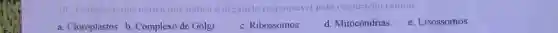 Assinale a alternativa q He indica a arganely responsivel
a. Cloroplastos b. Complexo de Golgi
c. Ribossomos
d. Mitocôndrias
e. Lisossomos