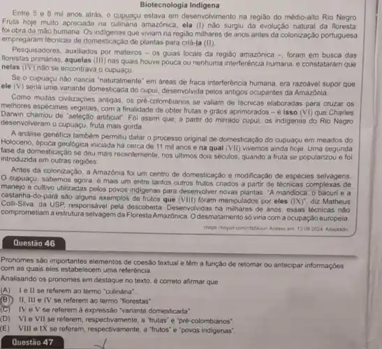 Biotecnologia Indigena
Entre 5 e 8 mil anos atrás, 0 cupuaçu estava em desenvolvimento na região do médio-alto Rio Negro
Fruta hoje muito apreciada na amazônica, ela (I) não surgiu da evolução natural da floresta:
foi obra da mão humana. Os que viviam na região milhares de anos antes da colonização portuguesa
empregaram técnicas de domesticação de plantas para criá-la (II)
Pesquisadores auxiliados por mateiros
-OS guias locais da região amazônica -, foram em busca das
florestas primárias , aquelas (III) nas quais houve pouca ou nenhuma interferência humana, e constataram que
nelas (IV) nào se encontrava o cupuaçu.
Se o cupuaçu não nascia "naturalmente em áreas de fraca interferência humana era razoável supor que
ele (V)
seria uma variante domesticada do cupul desenvolvida pelos antigos ocupantes da Amazônia.
Como muitas civilizaçōes antigas, os pré-colombianos se valiam de técnicas elaboradas para cruzar os
melhores espécimes vegetais, com a finalidade de obter frutas e grãos aprimorados - é isso
(VI) que Charles
Darwin chamou de "seleção artificial". Foi assim que, a partir do mirrado cupui, os indigenas do Rio Negro
desenvolveram o cupuaçu, fruta mais gorda.
A análise genética também permitiu datar o processo original de domesticação do cupuaçu em meados do
Holoceno ,época geológica iniciada há cerca de 11 mil anos e na qual (VII) vivemos ainda hoje Uma segunda
fase da domesticação se deu mais recentemente, nos últimos dois séculos quando a fruta se popularizou e foi
introduzida em outras regiōes.
Antes da colonização, a Amazônia foi um centro de domesticação e modificação de espécies selvagens.
cupuaçu, sabemos agora, é mais um entre tantos outros frutos criados a partir de técnicas complexas de
manejo e cultivo utilizadas pelos povos indigenas para desenvolver novas plantas. "A mandioca, o bacuri e a
castanha-do-pará são alguns exemplos de frutos que (VIII) foram manipulados por eles
(IX)'' diz Matheus
Colli-Silva, da USP responsável pela descoberta . Desenvolvidas há milhares de anos, essas técnicas nào
comprometiam a estrutura selvagem da Floresta Amazônica. O desmatamento só viria com a ocupação europeia.
chttps://tinyurl.com/rrfz6kuu>Acesso em: 13.092024 Adaptado
Questão 46
Pronomes são importantes elementos de coesão textual e têm a função de retomar ou antecipar informações
com as quais eles estabelecem uma referência.
Analisando os pronomes em destaque no texto é correto afirmar que
(A) Iell se referem ao termo "culinária".
(B) II, III e IV se referem ao termo "florestas".
(C) IV eV se referem à expressão "variante domesticada".
(D) VI e VII se referem a "frutas" e "pré -colombianos".
(E) VIII e IX se referem respectivamente, a "frutos" e "povos indigenas".