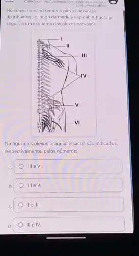 Clencias morfofuncionais dos sistemas nervoso
cardiorrespiratório
No corpo humano temos 4 plexos nervosos
distribuídos ao longo da medula espinal. A figura a
seguir, é um esquema dos plexos nervosos.
Na figura, os plexos braquial e sacral são indicados
respectivamente, pelos números:
A.
III e VI.
B.
III e V.
le III.
D.
II e IV.