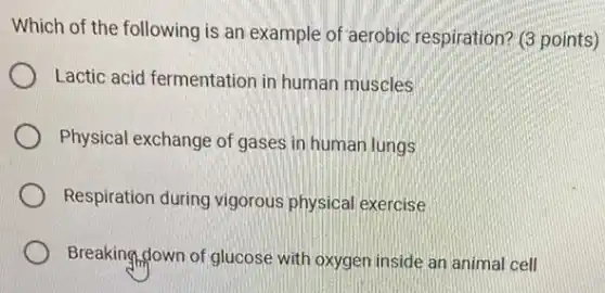 Which of the following is an example of aerobic respiration? (3 points)
Lactic acid fermentation in human muscles
Physical exchange of gases in human lungs
Respiration during vigorous physical exercise
Breaking,down of glucose with oxygen inside an animal cell