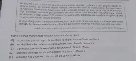 Há dez mil anos o trigo era apenas uma graminea confinada a uma pequena região do
Oriente Médio. Em aperias alguns milênios crescendo no mundo inteiro Em areas como
as Grandes Planicies da América do Norte, onde não crescia um único pé de trigo há 10 mil anos.
hoje podemos caminha por centenas de sem encontrar nenhuma outra planta.
Atualmente, o trigo cobre 2,25 milhoes de quilómetros quadrados da superficie do globo, quase
10 vezes o tamanho da Grã-Bretanha.
trigo não gostava de rochas e pedregulhos nem de dividir espaço , água e nutrientes com outras
plantas, por isso os seres humanos que dedicar cada vez mais esforços para seu cultivo.
HARARI, Yuvai Noah. Sapiens - Uma breve história da humanidade. 8 ed. Porto Alegre. L&PM, 2015. P 90. Adaptado
Sobre o cereal mencionado no texto, é correto afirmar que é
principal produto agrícola plantado na região Centro-Oeste do Brasil.
(B) na Grã-Bretanha onde se encontra a maior área plantada do planeta.
(C) o principal produto de exportação dos países do Oriente Médio.
(D) plantado em larga escala nos Estados Unidos e no Canadá.
(E) cultivado nos desertos rochosos da Europa e da África.