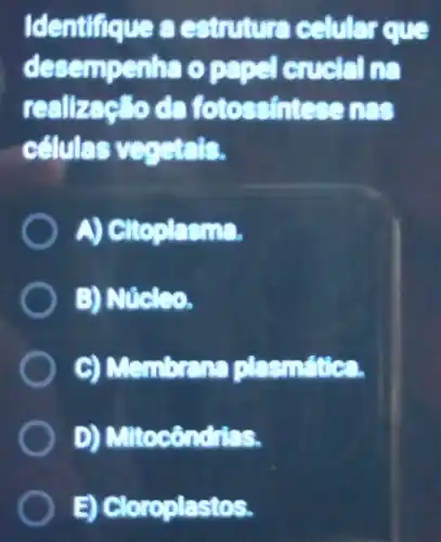 Identifique a estruture celular que
desempenha opape cucking
reallzacllo de fotossintese us
câules vegetals.
A) Cltoplasma.
B) Mucleo.
C) Membrane plasmatica
D)Mitocôndrias.
Cloroplastos.