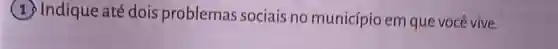 Indique até dois problemas sociais no município em que você vive.