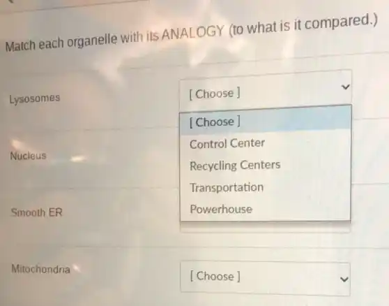 Match each organelle with its ANALO GY (to what is it compared.)
Lysosomes
square 
[Choose]
[Choose]
Control Center
Recycling Centers
Transportation
Nucleus
Smooth ER
Mitochondria
square