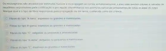 Os nociceptores são ativados por estimulos nocivos e os propagam ao córtex somatossensorial a drea onde existem colunas e camadas de
neurónios responsáveis pela codificação e percepção discriminativa dos estimulos sensoriais provenientes de todas as áreas do corpo
Marque qual é o tipo de fibra responsável pela propagação da dor lenta conhecida como dor crônica.
Fibras do tipo "A -beta", espessas ou grandes e mielinizadas.
Fibras do tipo A-gama espessas ou grandes e mielinizadas.
Fibras do tipo "C"delgadas ou pequenas e amielinizadas.
Fibras do tipo "A -delta", delgadas ou pequenas e mielinizadas
Fibras do tipo "C"espessas ou grandes e mielinizadas