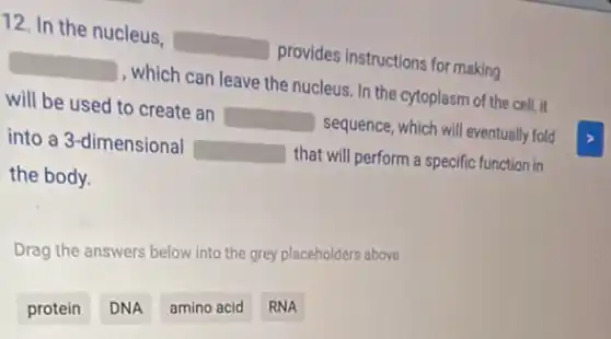 protein
12. In the nucleus.
square  provides instructions for making
square  , which can leave the nucleus . In the cytoplasm of the cell, it
will be used to create an square  sequence, which will eventually fold
into a 3-dimensional square  that will perform a specific function in
the body.
Drag the answers below into the grey placeholders above
DNA
amino acid
RNA