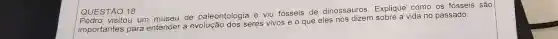 QUES visitou um museu de paleontologia e viu fosseis de dinossauros Explique como os fósseis são
importantes para entender a evoluçãc dos seres vivos e o que eles nos dizem sobre a vida no passado.
QUESTÃO 18