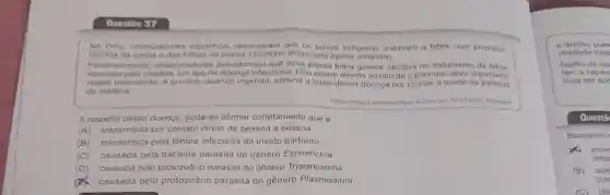 Questile 37
No Peru colonizadores espanhóis observaram que os povos indigenas tratavam a febre com produtos
obtidos da casca e das folhas da planta ledgeriana (quina amarela)
Posteriormente pesquis infecciosa. Isso ocorro devido ao fato de o principio ativo importante
Posteriormente, pesa uisadores descobriran que essa planta tinha grande eficácia no tratamento da febre
nesse tratamento, a quinina, quando ingerida, elimina a febre dessa doença por causar a morte do parasita
de malária.
Acesso em 12.07 2024 Adaptado
A respeito dessa doença, pode-se afirmar corretamente que 6
(A) transmitida por contato direto de pessoa a pessoa.
(B) transmitida pela fêmea infectada do inseto barbeiro
(C) causada pela bactéria parasita do gênero Escherichia.
(D) causada pelo protozoário parasita do gênero Trypanosoma.
causada pelo protozoário parasita do gênero Plasmodium.
e dentes.com
atividade intes
Dentro de su
a capaci
ricas em ácic
Questǎ
Baseando-
prov
intes
(B) aux
com
(C) difi