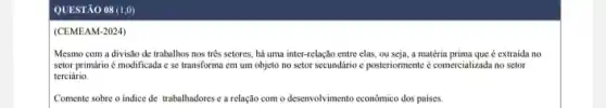 QUESTÃO 08 (1,0)
(CEMEAM-2024)
Mesmo com a divisão de trabalhos nos tres setores, há uma inter -relação entre elas, ou seja, a matéria prima que é extraida no
setor primário é modificada e se transforma em um objeto no setor secundário e posteriormente comercializada no setor
terciário.
Comente sobre o indice de trabalhadores e a relação com o desenvolvimento econômico dos paises