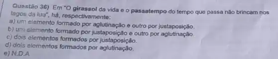 Questão 36) Em "O girassol da vida e o passatempo do tempo que passa não brincam nos
lagos da lua", há , respectivamente:
a) um elemento formado por aglutinação e outro por justaposição.
b) um elemento formado por justaposição e outro por aglutinação
c) dois elementos formados por justaposição.
d) dois elementos formados por aglutinação.
e) N.D.A