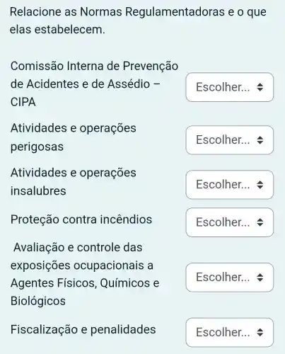 Relacione as Normas Regulamentadoras e o que
elas estabelecem.
Comissão Interna de Prevenção
de Acidentes e de Assédio -
CIPA
square 
Atividades e operações
perigosas
square 
Atividades e operações
insalubres
square  : 1
Proteção contra incendios
square 
Avaliação e controle das
exposições ocupacionais a
Agentes Físicos , Químicos e
Biológicos
square 
Fiscalização e penalidades
square