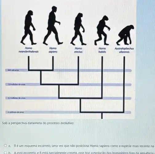 square 
square 
Sob a perspectiva darwinista do processo evolutivo:
a. Bé um esquema incorreto, uma vez que não posiciona Homo sapiens como a espécie mais recente na
h. Aestá incorreta.e Restá narcialmente correta nois traz a evolucǎo dos hominideos fora da seauencia