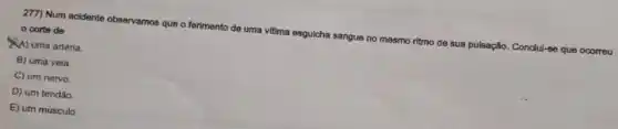 277) Num acidente observamos que o ferimento de uma vilima esguicha sangue no mesmo ritmo de sua pulsação. Condul-se que ocorreu
corte de
A) uma arténa
B) uma veia.
C) um nervo.
D) um tendão
E) um músculo