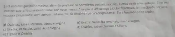 3) O sistema genital feminino, além de produzir os hormônios sexuais e óvulos é onde se dá a fecundação.
E
interior que o fetose desenvolve por nove meses A vagina é um espaço tubular fibromuscular, recoberto por uma
mucosa pregueada,com aproximadamente 10 centimetro sde comprimento Ele formado pelos órgãos:
& Ovários tubas uterinas útero e vagina
b) Uretra Vesiculas seminais útero e vagina
c) Uretra,Vesiculas seminais e Vagina
d) Ovários tubas uterinas e Clitoris
e) Figado e Ovários