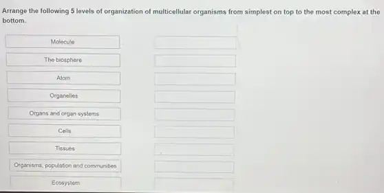 Arrange the following 5 levels of organization of multicellular organisms from simplest on top to the most complex at the
bottom.
square 
square 
square 
square 
Molecule
The biosphere
Atom
Organelles
Organs and organ systems
Cells
Tissues
Organisms, population and communities
Ecosystem
square 
square 
square 
square 
square