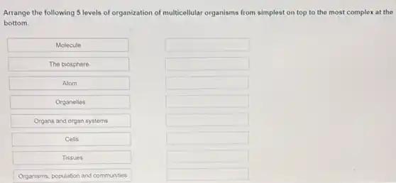 Arrange the following 5 levels of organization of multicellular organisms from simplest on top to the most complex at the
bottom.
Molecule
square 
The biosphere
square 
Atom
square 
Organelles
square 
Organs and organ systems
square 
Cells
square 
Tissues
square 
Organisms, population and communities
square