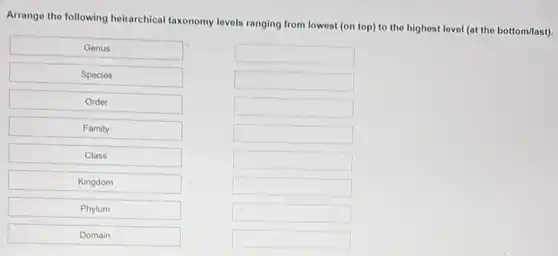 Arrange the following heirarchical taxonomy lovels ranging from lowest (on top) to the highest level (at the bottom/last).
Genus
Species
Order
Family
Class
Kingdom
Phylum
Domain
square 
square 
square 
square 
square 
square 
square 
square