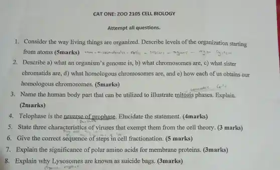 CA TONE zoo 2105 CEL L BIOLOGY
Attempt all questions.
1.Conside r the way living things are or anized.Descr ibe levels of the organizati on starting
from atoms (5marks)	coll ergan c - urgar system
2.Describe a)what an organism's genom e is, b)what chromoso mes are, c)wha t sister
chromatids are, d)what homol gous chromosome s are , and e) how each of us obtains our
homo log ous chromos omes (5marks)
3.Name the human body part that can be utilized to illustrate mitosis phases Explain.
(2marks)
4. Telophase is the e rever se of prophase . Elucidate the sta temen t. (4m arks)
5.State three characteristics of viruse s that exempt them from the cell theory . 3 marks)
6.Giv the correct seq uenc e of step:s in cell fractionati on. (5 mar ks)
7. Explain the significance of polar amin o acids for membran proteins.(3marks)
8. Explain why Lysos omes are known as sui cide bags (3marks)