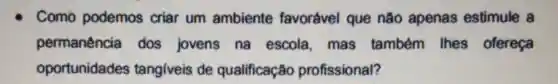 Como podemos criar um ambiente favorável que não apenas estimule a
permanência dos jovens na escola mas também Ihes ofereça
oportunidades tangiveis de qualificação profissional?