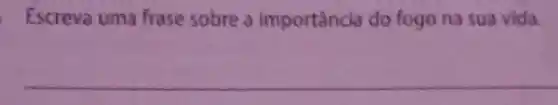 Escreva uma frase sobre a importancia do fogo na sua vida.
__