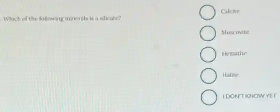 Which of the following minerals is a silicate?
Calcite
Muscovite
Hematite
Halite
IDON'T KNOWYET