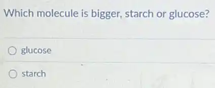 Which molecule is bigger, starch or glucose?
glucose
starch