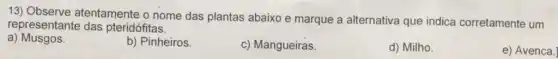 a) Observe atentamente o nome das plantas abaixo e marque a alternativa que indica corretamente um
representant das pteridófitas.
a) Musgos.
b) Pinheiros.
c) Mangueiras.
d) Milho.
e) Avenca.]