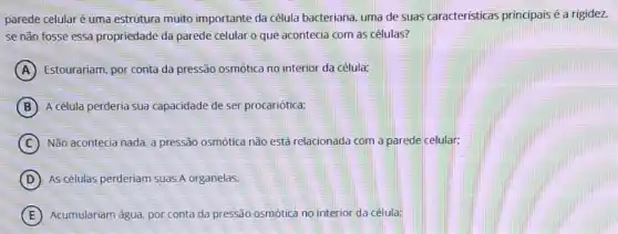 parede celular é uma estrutura muito importante da célula bacteriana, uma de suas caracteristicas principais é a rigidez,
se não fosse essa propriedade da parede celular o que acontecia com as células?
A Estourariam, por conta da pressão osmótica no interior da célula;
B A célula perderia sua capacidade de ser procariótica:
C Não acontecia nada, a pressão osmótica não estả relacionada com a parede celular;
D As células perderiam suas A organelas.
E Acumulariam agua, por conta da pressão osmótica no interior da célula;