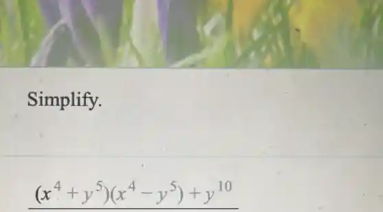 Simplify.
(x^4+y^5)(x^4-y^5)+y^10