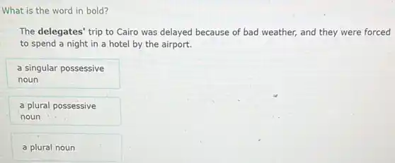 What is the word in bold?
The delegates' trip to Cairo was delayed because of bad weather, and they were forced
to spend a night in a hotel by the airport.
a singular possessive
noun
a plural possessive
noun
a plural noun