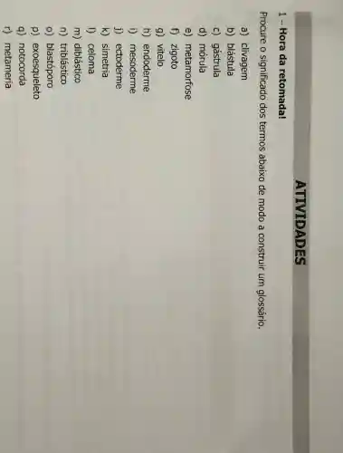 1- Hora da retomada!
ATIVIDADES
Procure o significado dos termos abaixo de modo a construir um glossário.
a) clivagem
b) blástula
c) gástrula
d) mórula
e) metamorfose
f) zigoto
g) vitelo
h) endoderme
i) mesoderme
j) ectoderme
k) simetria
I) celoma
m) diblástico
n) triblástico
o) blastóporo
p) exoesqueleto
q) notocorda
r) metameria