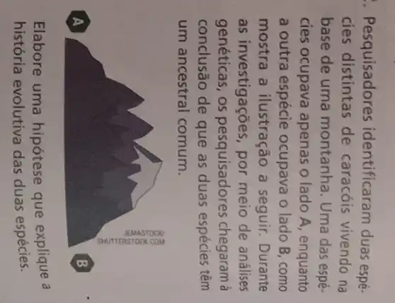 . Pesquisadores identificaram duas espé.
cies distintas de caracóis vivendo na
base de uma montanha. Uma das espé-
cies ocupava apenas o lado A , enquanto
a outra espécie ocupava o lado B ,como
mostra a ilustração a seguir Durante
as investigações por meio de análises
genéticas, os pesquisadores chegaram à
conclusão de que as duas espécies têm
um ancestral comum.
Elabore uma hipótese que explique a