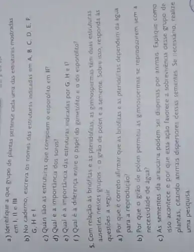 a) Identifique a que grupo de plantas pertence cada uma das estruturas mostradas
em 1, ll e III
b) No caderno, escreva os nomes das estruturas indicadas em A, B, C, D E.F
G.Hel
c) Quais são as estruturas que compoem o esporófito em II?
d) Qual e a importância dos soros?
e) Qual é a importância das estruturas indicadas por G, Hel
f) Qual é a diferença entre o papel do gametófito e o do esporófito?
5. Com relação ás briofitas e as pteridofitas as gimnospermas têm duas estruturas
ausentes nesses grupos -0 grao de polen e a semente. Sobre isso responda às
questōes a seguir.
a) Por que e correto afirmar que as briófitas e as pteridófitas dependem da água
para a reprodução?
b) Por que o grào de pôlen permitiu as gimnospermas se reproduzirem sem a
necessidade de agua?
c) As sementes da araucária podem ser dispersas por animais. Explique como
isso acontece e por que essa ação favorece a. sobrevivéncia desse grupo de
plantas, citando animais dispersores dessas sementes. Se necessário, realize
uma pesquisa.