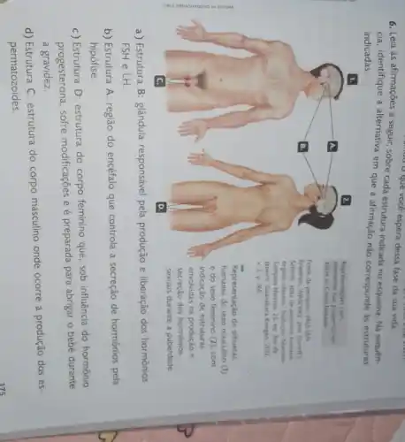 mango o que você espera dessa fase da sua vida.
6. Leia as afirmaçōes a seguir, sobre cada estrutura indicada no esquema. Na sequen-
cia, identifique a alternativa em que a afirmação não corresponde as estruturas
indicadas.
elementos nào proporcionais
Representacoes com
entre si. Coresfantasia.
Fonte de pesquisa: PAULSEN.
Friedrich; WASCHKC, Jens (coord)
Sobotto: atlas de anatomia humana
orgios internos. Traduclo. Marcelo
Sampaio Narciso. 23. ed Rio de
Janeiro:Guanabara Koogan, 2012
v. 2. p. 160
Representação de silhuetas
humanas do sexo masculino (1)
e do sexo feminino (2), com
indicação de estruturas
envolvidas na produção e
secreção dos hormônios
sexuais durante a puberdade.
a) Estrutura B glândula responsável pela produção e liberação dos hormônios
FSH e LH
b) Estrutura A: região do encéfalo que controla a secreção de hormônios pela
hipófise.
c) Estrutura D estrutura do corpo feminino que, sob influência do hormônio
progesterona, sofre modificações e é preparada para abrigar o bebê durante
a gravidez.
d) Estrutura C: estrutura do corpo masculino onde ocorre a produção dos es.
permatozoides.